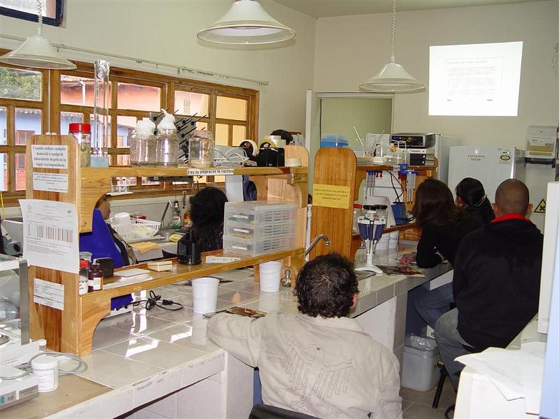 DSC02320 (Large).JPG